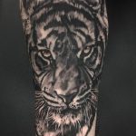 leonardo avelar realismo realista tigre preto cinza